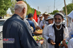 کاروان-انصار-الحسین-مشهد-6